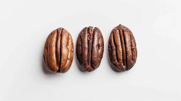 Photo pecan nuts on a white background