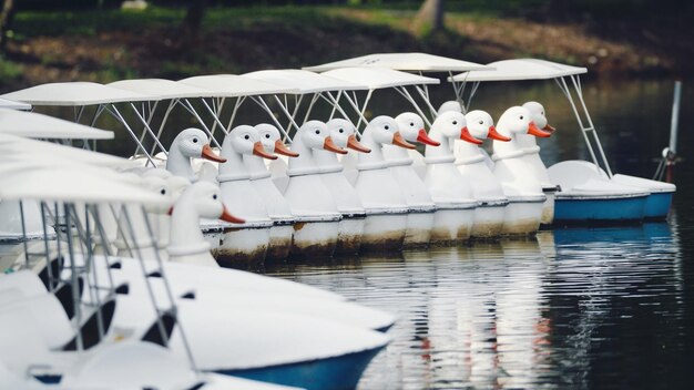 Photo pedal boats moored on lake