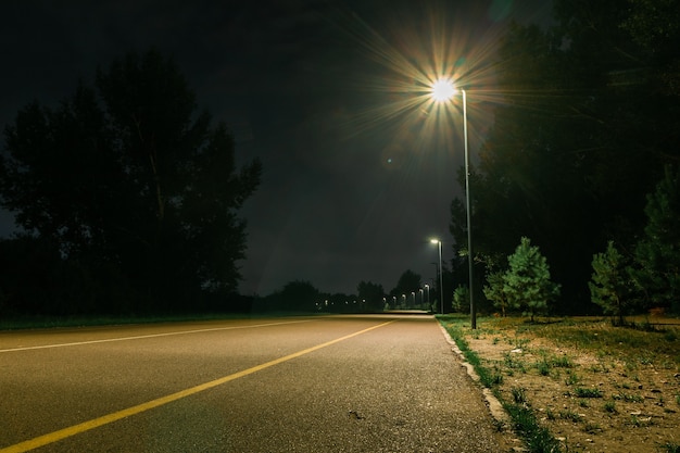 Pedestrian and bicycle road in the park illuminated by a lantern at night