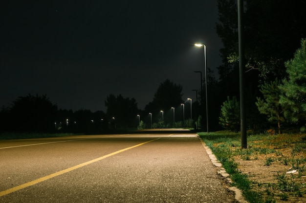 Pedestrian and bicycle road in the park illuminated by a lantern at night