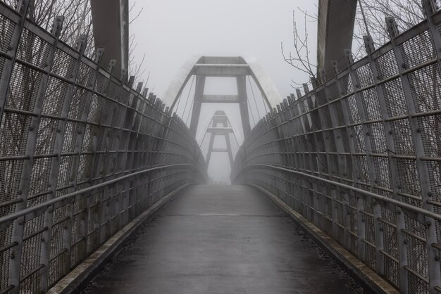 冬の霧の朝の間にトランスカナダハイウェイ1に架かる歩道橋
