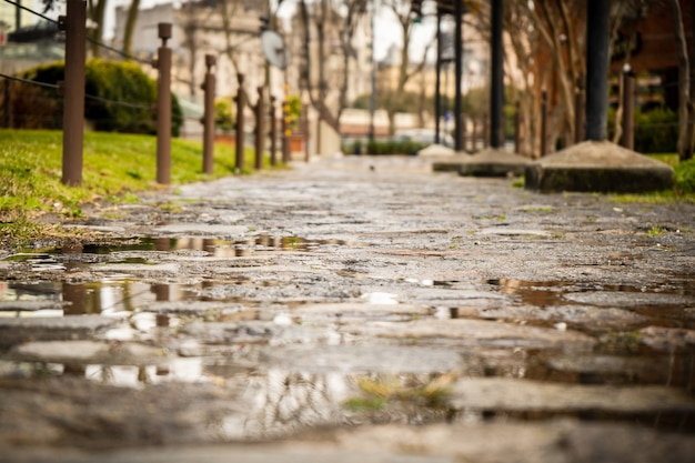 Foto strada pedonale di ciottoli bagnata dalla pioggia.