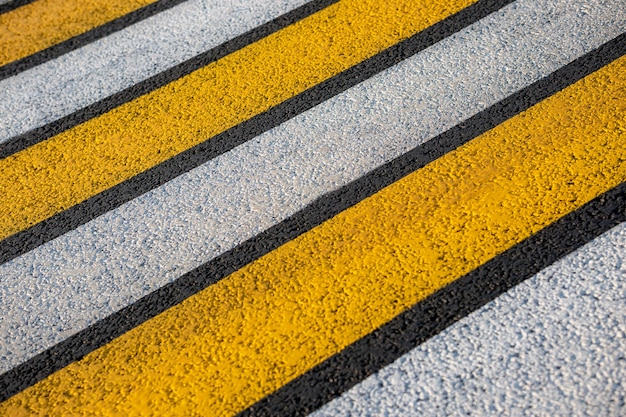 Pedestrian crossing on an asphalt road in the rays of the setting sun