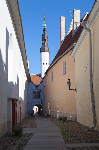 Pedestrian street in Tallinn