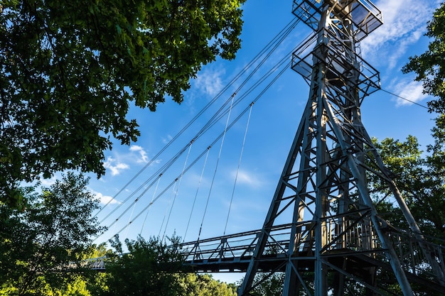 森の中の川に架かる歩行者用吊り橋
