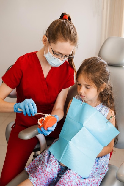 Pediatric dentist teaching oral hygiene lesson for kids in dentistry The dentist shows child how to properly use toothbrush for brush teeth Jaw anatomical model teeth brushing