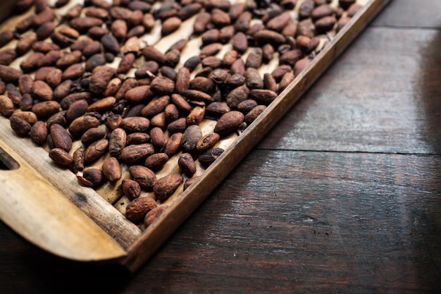 Peeled cocoa bean on wooden surface