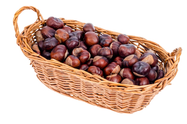 Peeled fruits Aesculus on white