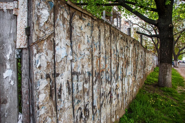 Peeled old fence