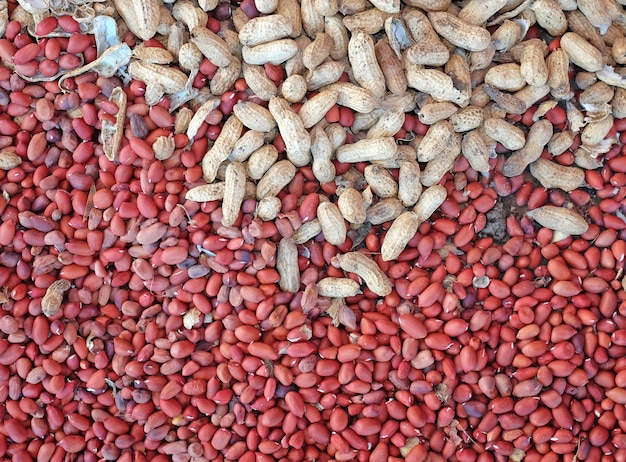 Peeled peanuts and well peanuts