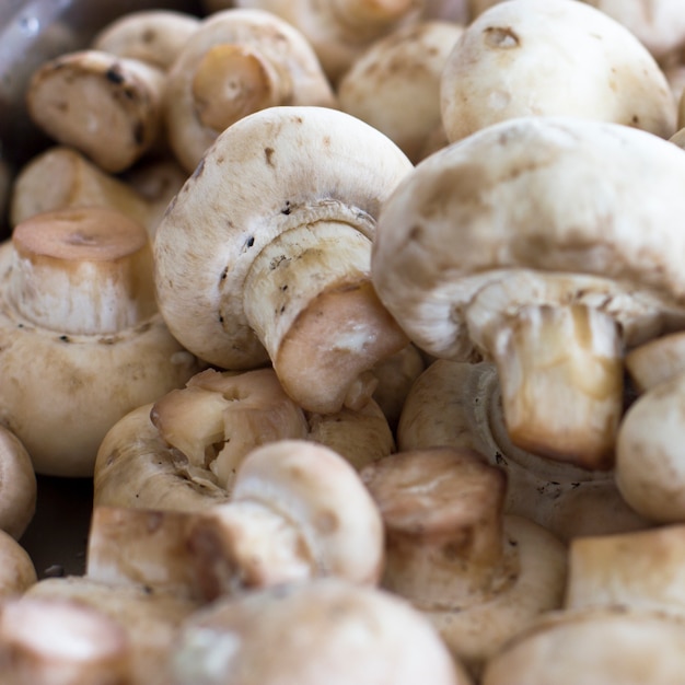 Peeled raw mushrooms champignons close-up.