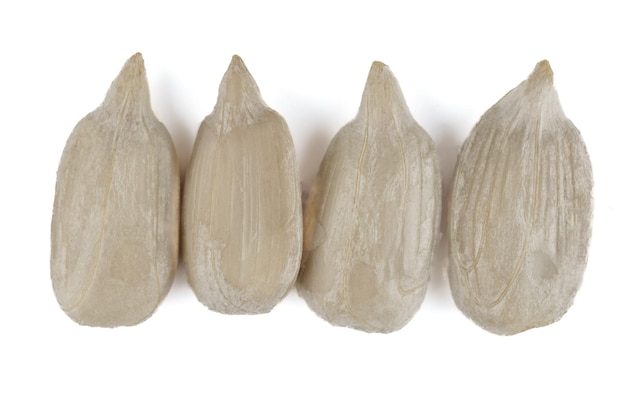 Peeled sunflower seed on a white isolated background