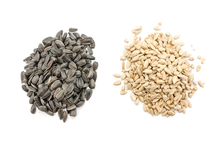 peeled and unpeeled sunflower seeds isolated on white background