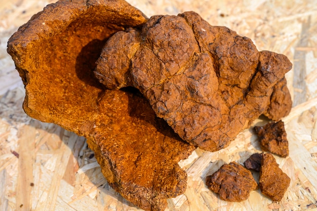 Peeled wild birch chaga mushroom on a wooden surface