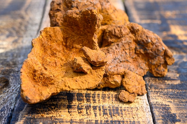 Peeled wild birch chaga mushroom on a wooden surface