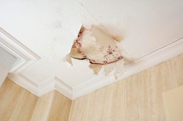 Peeling paint wall of water leak in plaster ceiling of bathroom