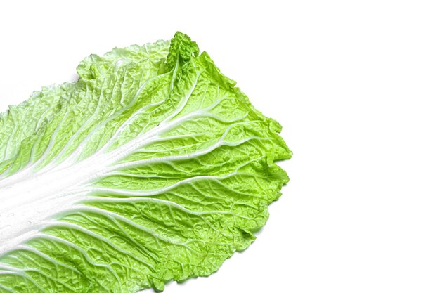 Peking cabbage leaves on white