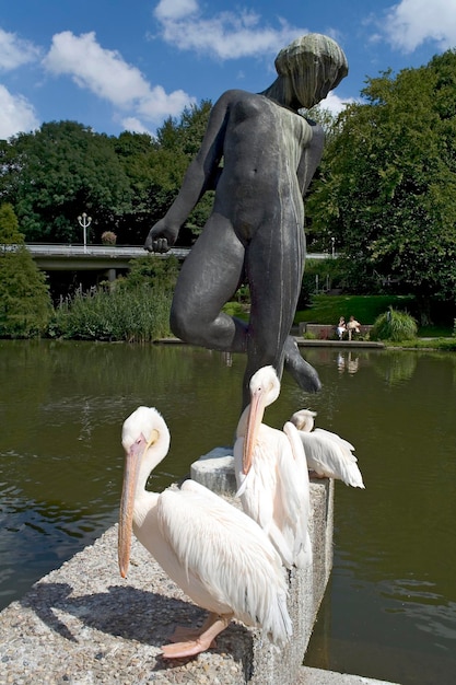 Foto pelikanen voor een sculptuur van georg kolbe grugapark essen nrw duitsland
