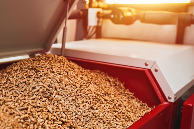 a pellet stove using compressed wood pellets as a green and economical fuel source heating a domestic furnace with fire and technology
