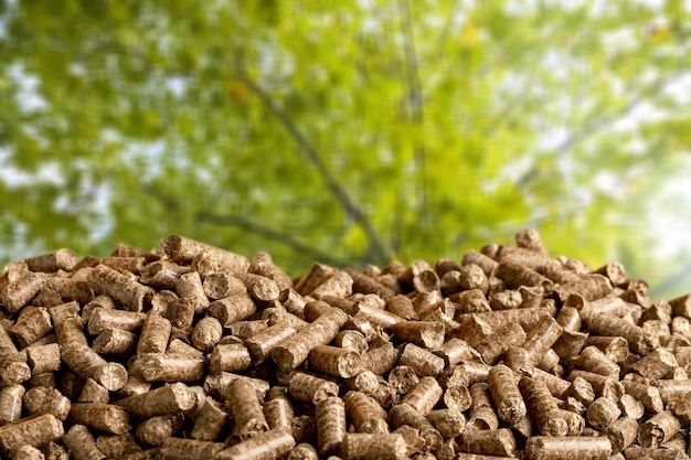 pellets biomass- close up on background