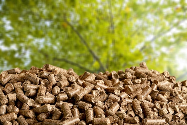 Pellets Biomass- close up on background