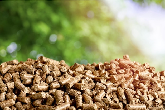 pellets biomass- close up on background