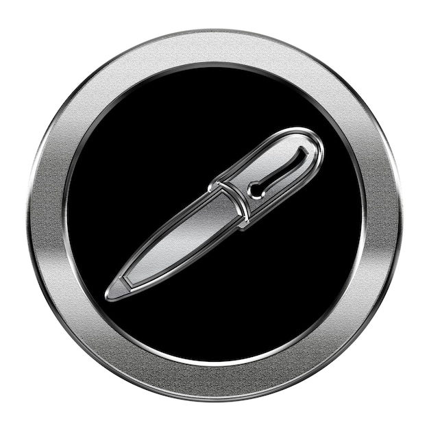 Photo pen icon silver