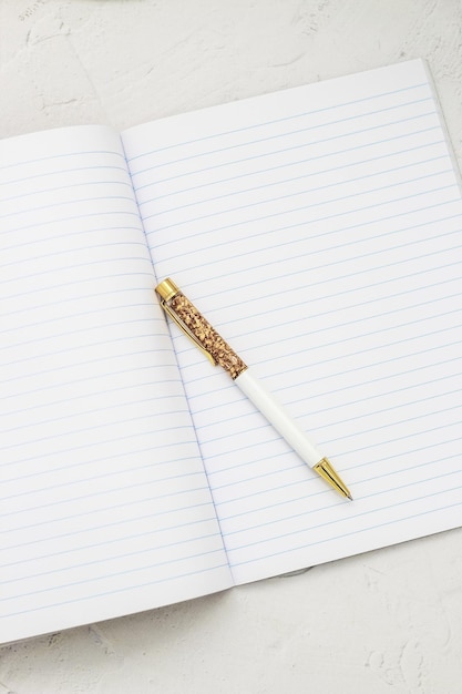 The pen lies in the notebook the concept of study time management