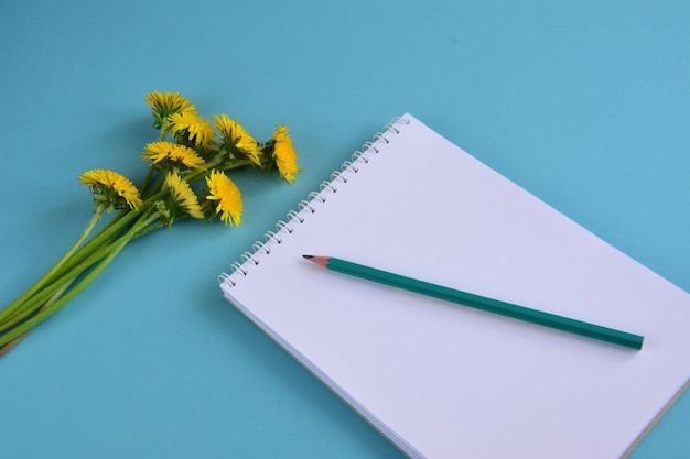 pencil on notebook with dandelions on the blue background