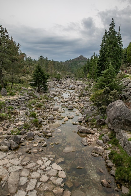 PenedaGeres National Park ligt in het noorden van Portugal. De ruige heuvels zijn de thuisbasis van hertenwolven en steenarenden. De paden omvatten een Romeinse weg met bezienswaardigheden