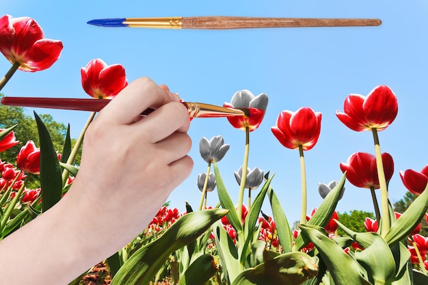 Penseel schildert tulpenbloemen in rode kleur