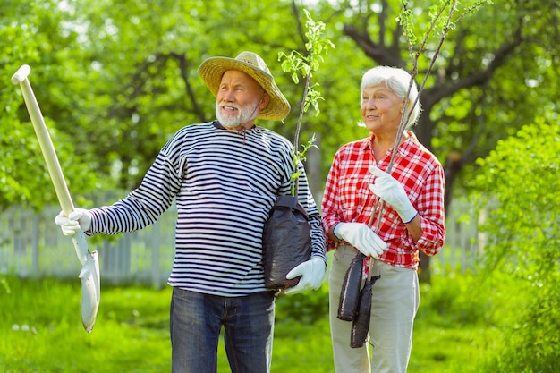 年金受給者が話している。どこに木を植えるかを決めながら話している見栄えの良い年金受給者を輝かせる