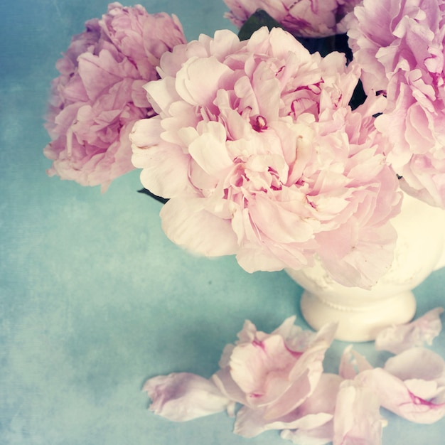 Peonies flowers in a vase