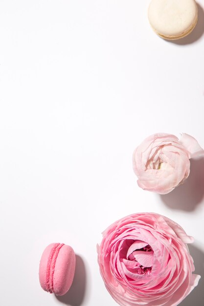 Fiori di peonie con amaretti su sfondo bianco vista dall'alto