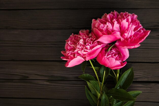 Peonies flowers on wooden background