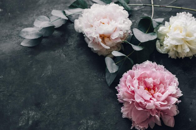 Peonies with eucalyptus on a dark background