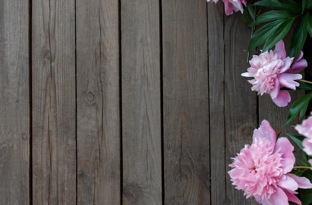 Peonies on a wooden background