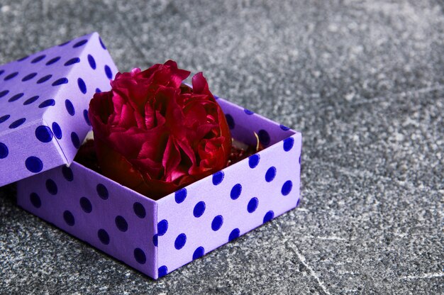 Peony bud in a purple box on gray