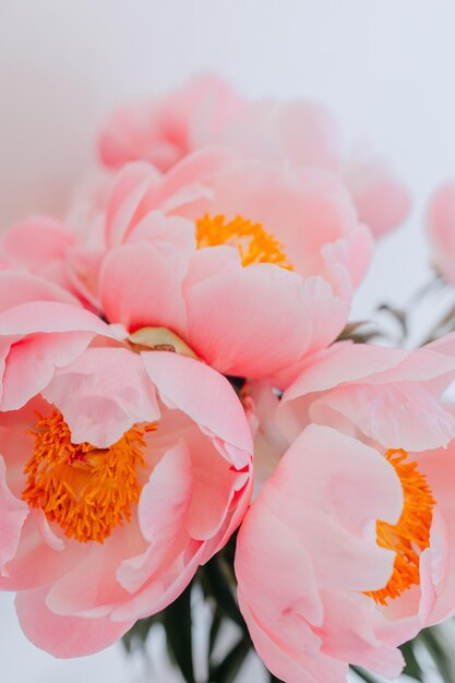 Peony flowers are the perfect addition to any home.