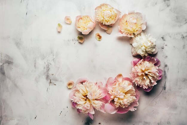 Foto fiori di peonia su sfondo di cemento decorazione floreale per biglietti di auguri