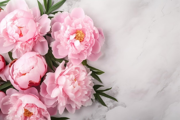 Peony flowers on light concrete stone background