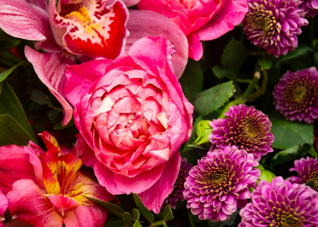 peony flowers peonyshaped roses on a beige background space for text greeting card