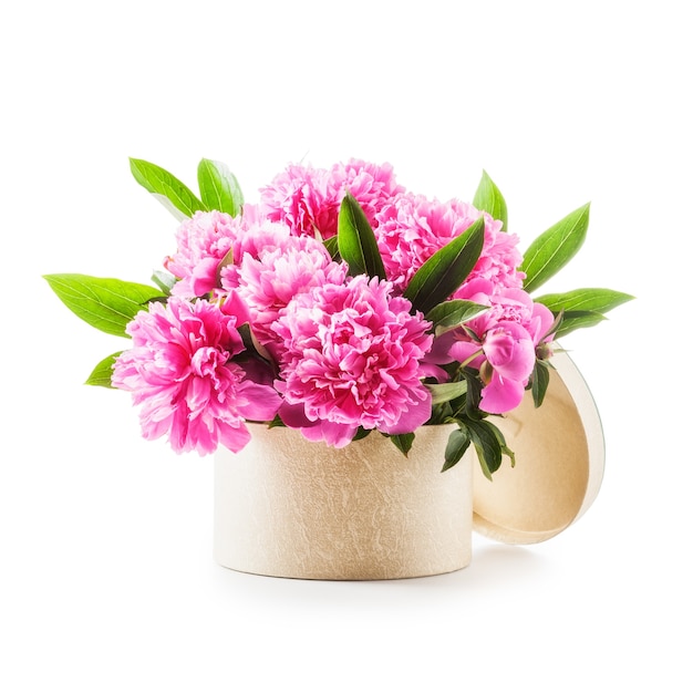 Peony flowers Romantic bouquet of pink peonies in gift box isolated on white background