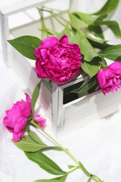 Peony flowers in a wooden box a basket on a white background floristic composition flower delivery