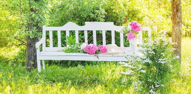 Peony in jug on white wooden bench in summer garden