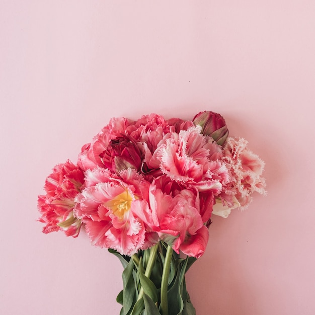 Peony tulip flowers bouquet on pink
