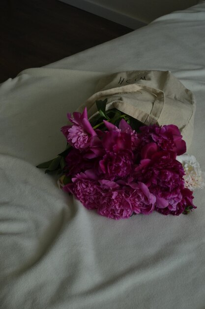 Photo peony