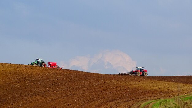 People on agricultural field against sky