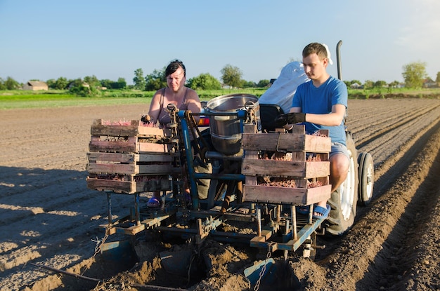 People are planting a field with potatoes Automation of the process of planting potato seeds New technological solutions to simplify work Agricultural technologies Agroindustry and agribusiness