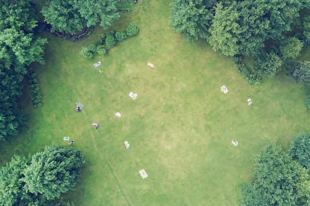 写真 夏の公園のトップビューでピクニックをしている人々
